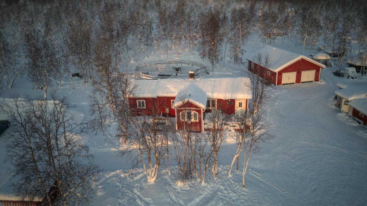 Husky Lodge Hostel Kiruna Dış mekan fotoğraf