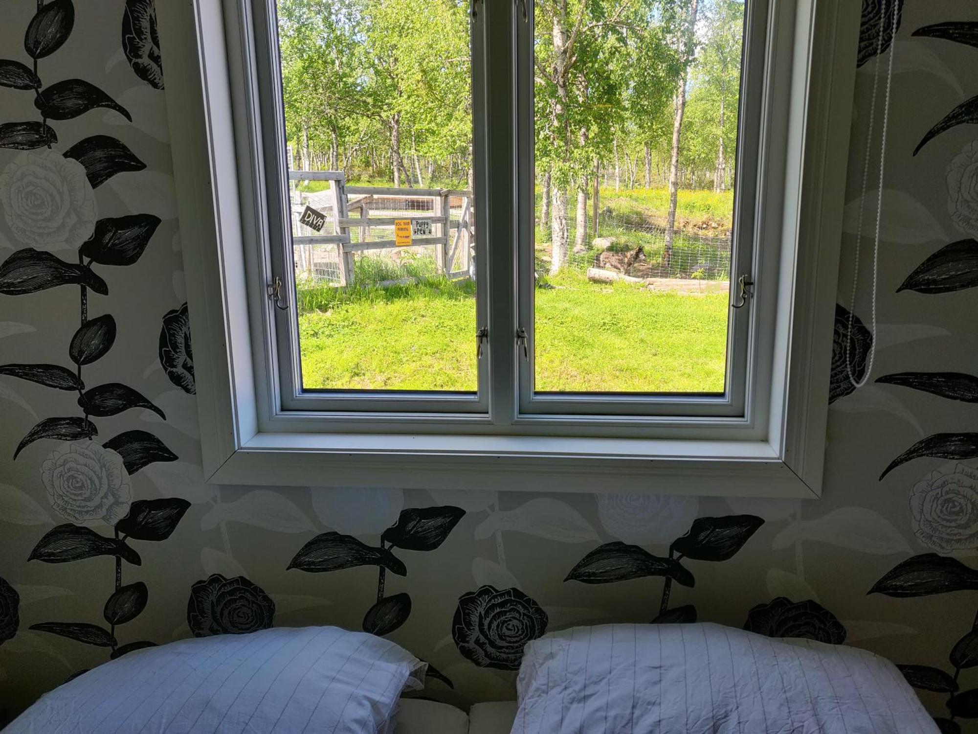 Husky Lodge Hostel Kiruna Oda fotoğraf
