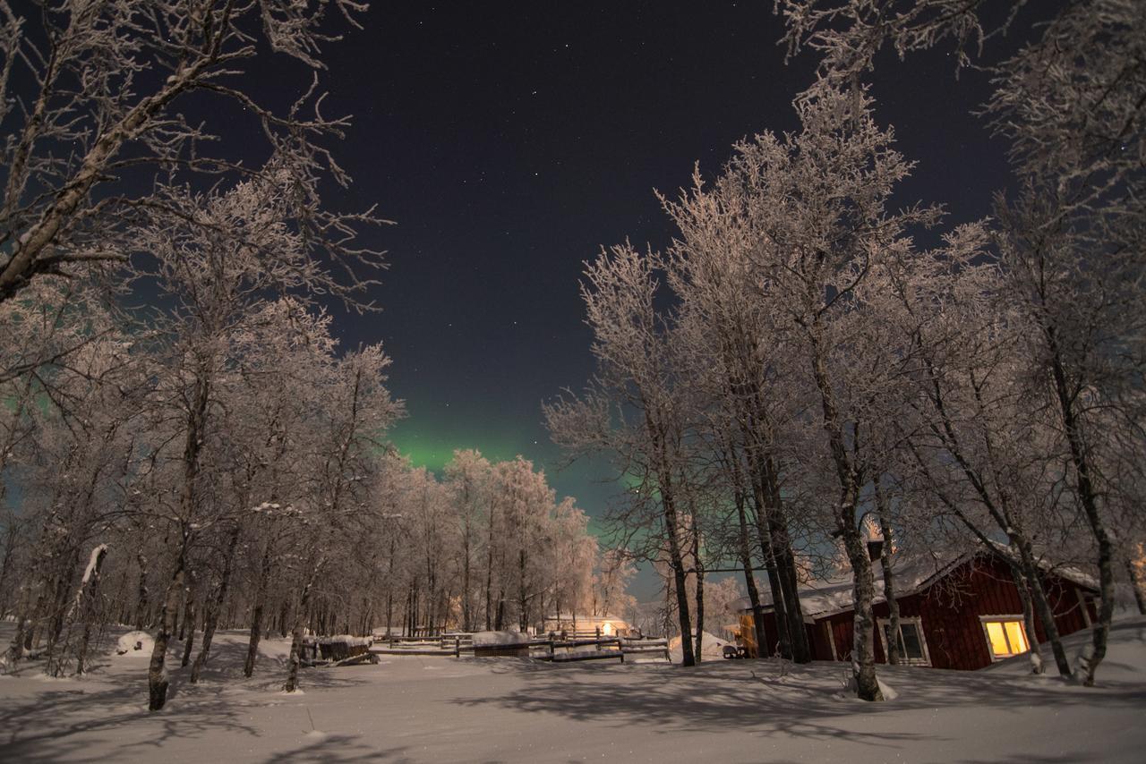 Husky Lodge Hostel Kiruna Dış mekan fotoğraf