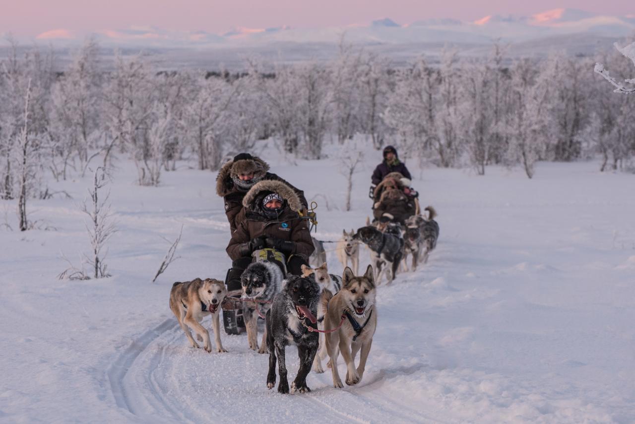 Husky Lodge Hostel Kiruna Dış mekan fotoğraf
